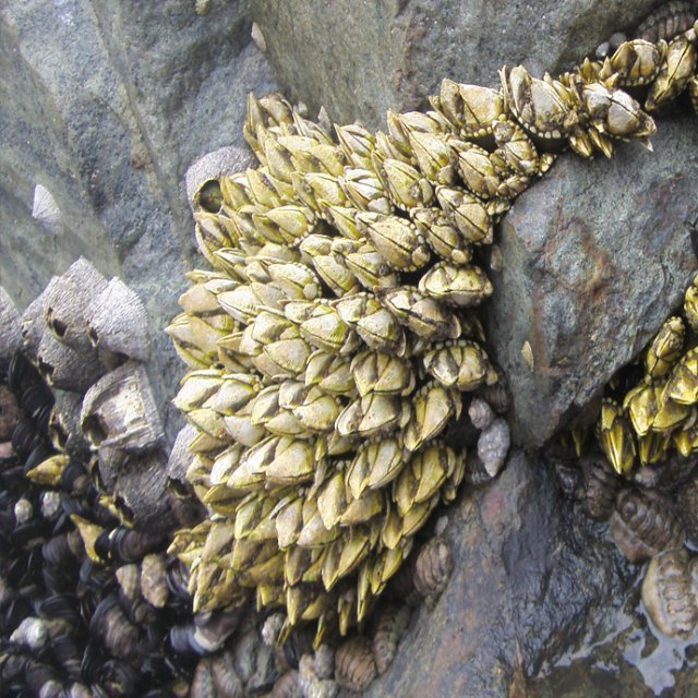 박인호 님 신혼 집들이